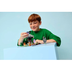 LEGO MINECRAFT 21586 The...