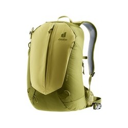 AC Lite 17 linden-cactus
