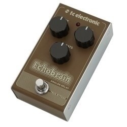 TC Electronic Echobrain...