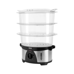 TEESA Steamer