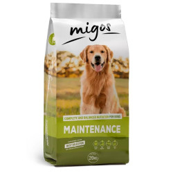 MIGOS Maintenance - dry dog...