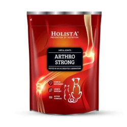 HOLISTA Arthro Strong -...