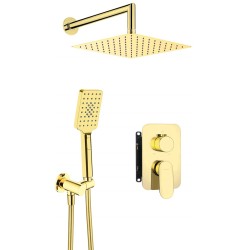 Concealed shower set with...
