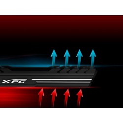 XPG GAMMIX D10 memory...