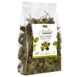 ALEGIA Strawberry leaves -...