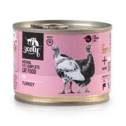3COTY 34. Turkey Senior -...