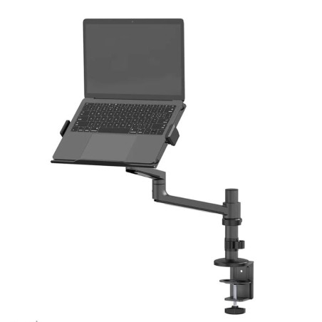 NB ACC DESK STAND 11.6-17.3"/DS20-425BL1 NEOMOUNTS