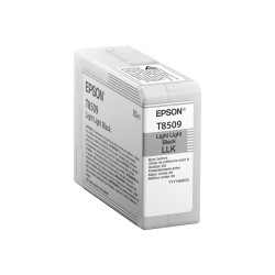 Epson T850900 | Ink...