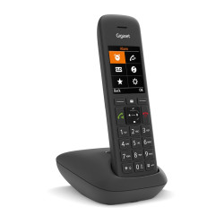 Int. Gigaset C575 phone...
