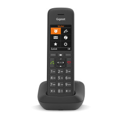 Gigaset C575 Analog/DECT...
