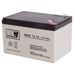 MW Power MWS 12-12 UPS...