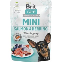 BRIT Care Mini...