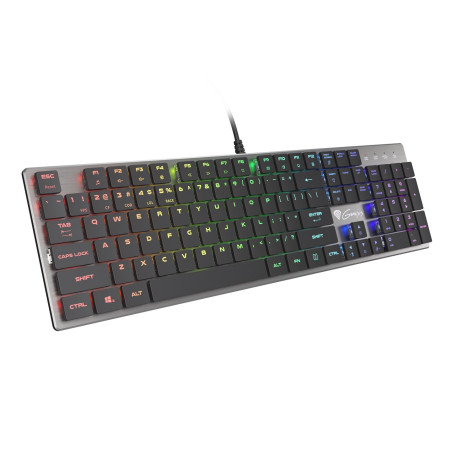 GENESIS Thor 420 RGB keyboard Gaming USB QWERTY US International Silver