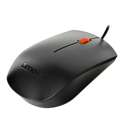 Lenovo GX30M39704 mouse...