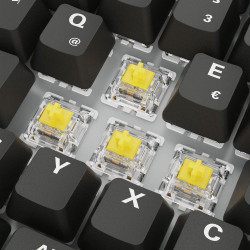 Sharkoon SGK50 S3 keyboard...