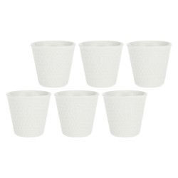 Set of 6 Aperegina Mugs -...
