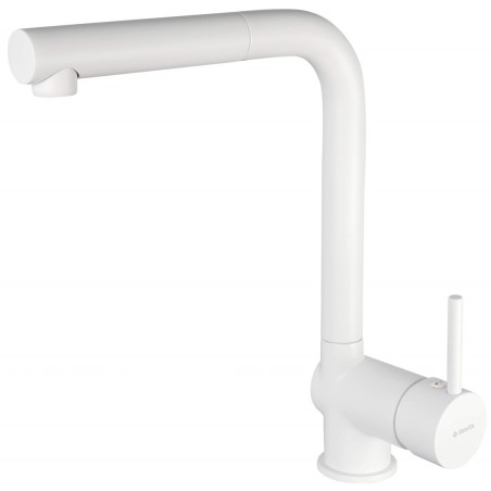 Kitchen faucet with pull-out spout