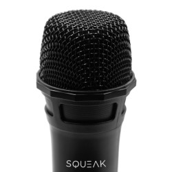 KARAOKE MICROPHONES SET...