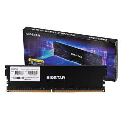 Biostar DDR4 Storming V...