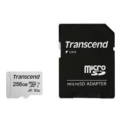 MEMORY MICRO SDXC 256GB...