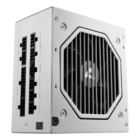 Sharkoon Rebel P20 power supply unit 1000 W 24-pin ATX ATX White