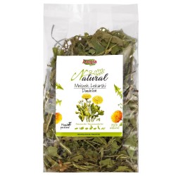 ALEGIA Dandelion - treat...