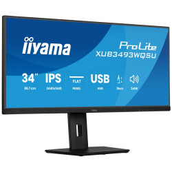 iiyama ProLite...