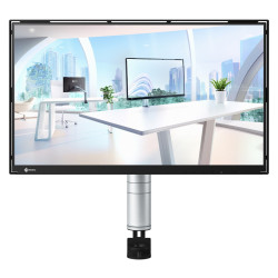 EIZO FlexScan FLT computer...