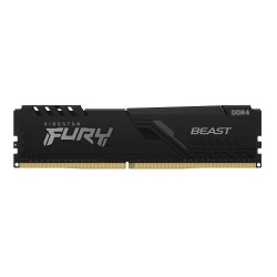 Kingston Technology FURY...