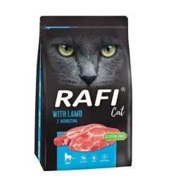 DOLINA NOTECI Rafi Cat with...