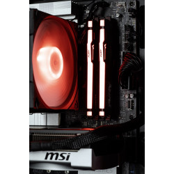 Actina 5901443421566 PC AMD...