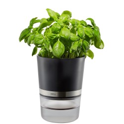 GEFU BOTANICO Herb pot...