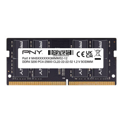 PNY Performance memory...