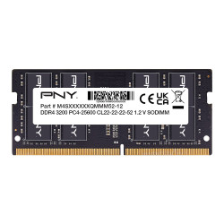 PNY Performance memory...