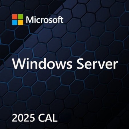 Microsoft Windows Server CAL 2022 Client Access License (CAL) 1 license(s)