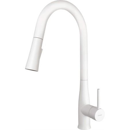 Kitchen faucet with pull-out spout