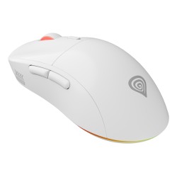 GENESIS Zircon XIII mouse...