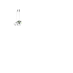Green oblique stepper with...