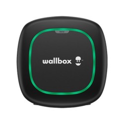 Wall charger for electric...