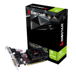 Biostar VN7313THX1 graphics...