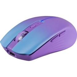 MOUSE DEFENDER MYSTERY...