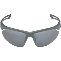 Alpina Nylos HR Sunglasses...