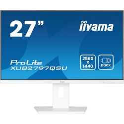 iiyama ProLite...