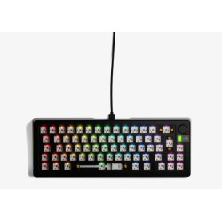 Glorious PC Gaming Race...