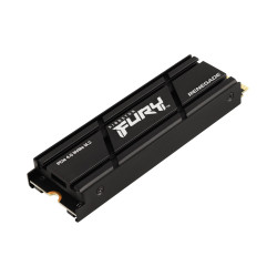 Kingston Technology 2000G...