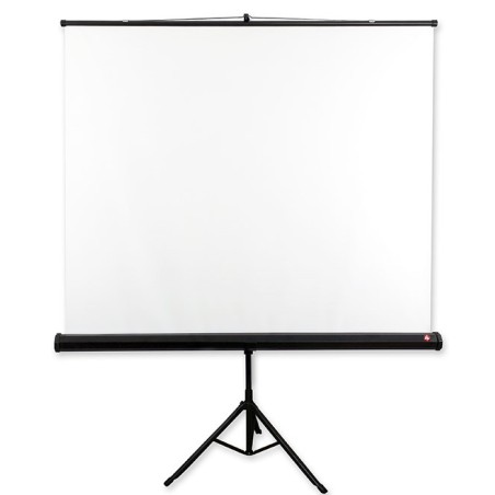 Avtek Tripod Standard 200 projection screen 1:1
