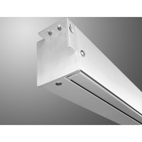 Avtek Business Electric Screen 300P