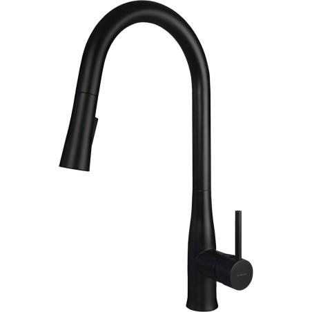 Kitchen faucet with pull-out spout