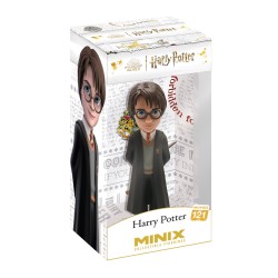 MINIX HARRY POTTER - HARRY...