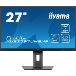 iiyama ProLite...